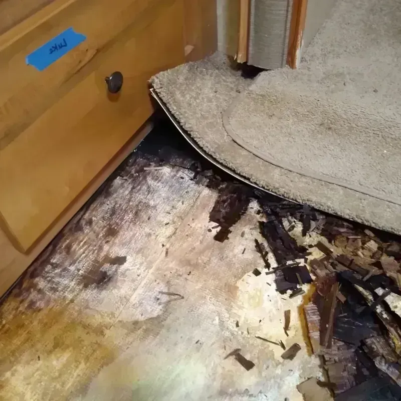 Wood Floor Water Damage in Forest Hill, TX